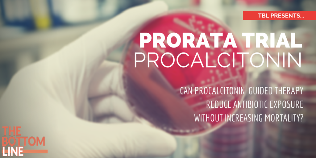 PRORATA Header Image