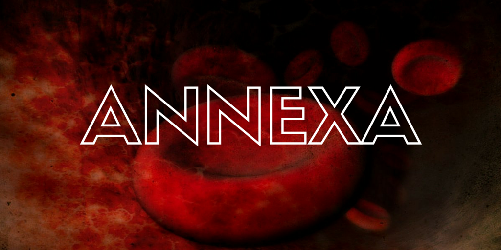ANNEXA – The Bottom Line