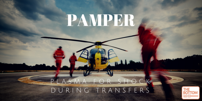 Pamper Exploded PAMPer – The Bottom Line