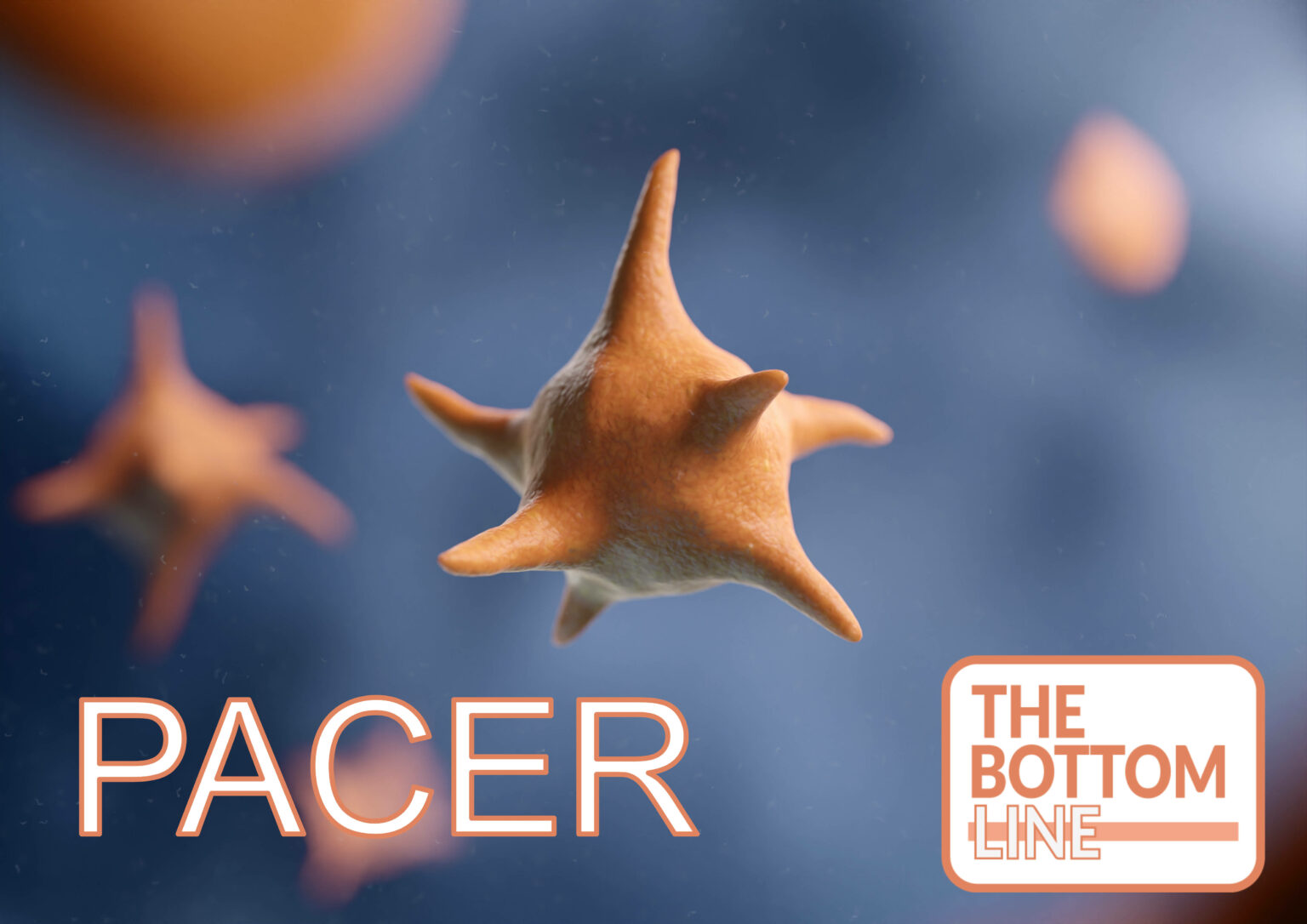 Platelet Transfusion before CVC Placement in Patients with